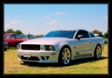 mustang saleen
